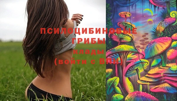 молекула духа Беломорск