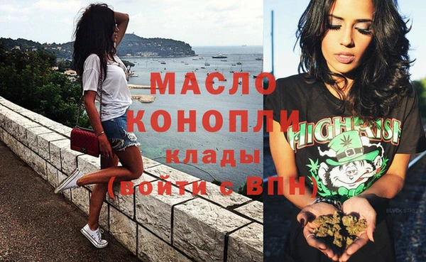 крисы Ельня