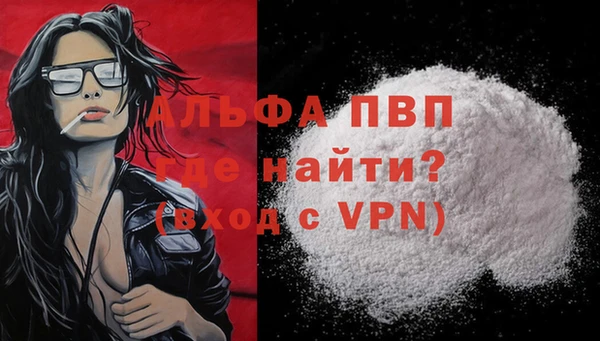 ешки Богданович