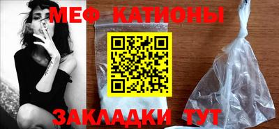 шишки Заводоуковск