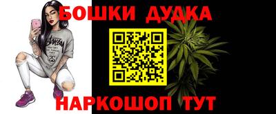 шишки Заводоуковск