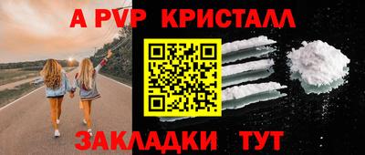 шишки Заводоуковск