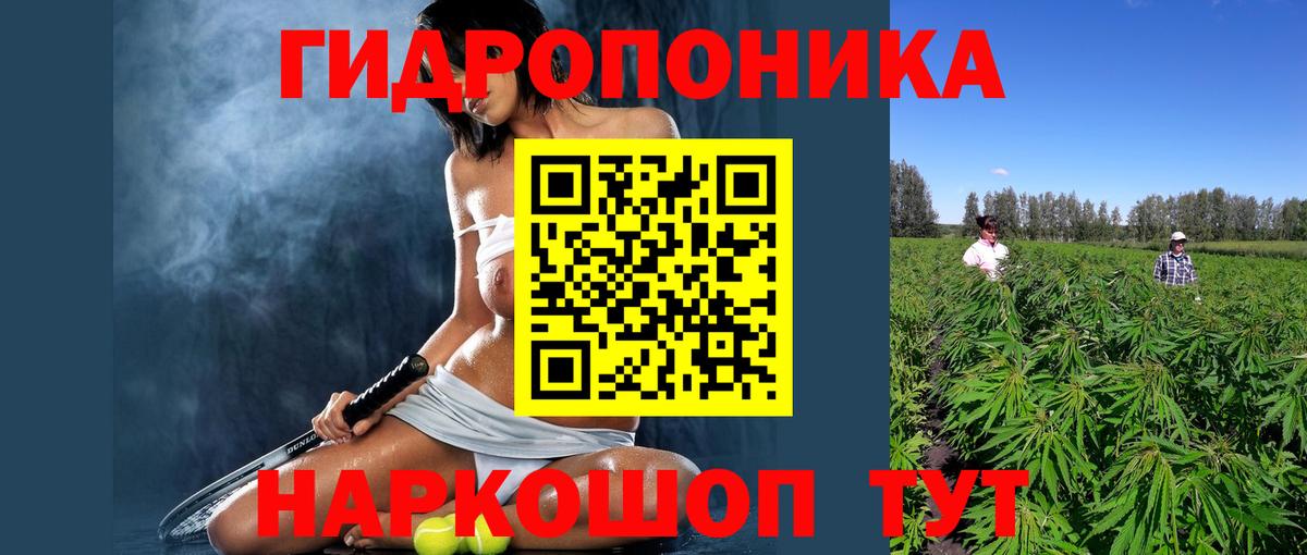 Канабис OG Kush Гулькевичи
